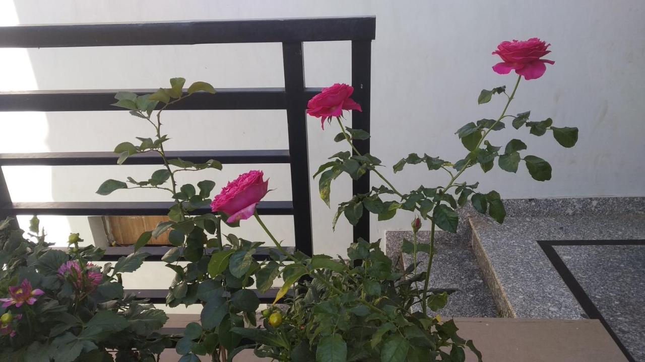 Mai Dalat Homestay Exteriör bild